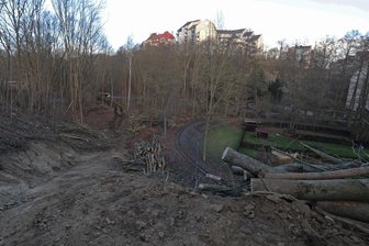 Baumfällungen im Plauener Syratal sorgen für Diskussionen - Am Hang gegenüber vom Streitsberg ist der großflächige Kahlschlag nicht zu übersehen.