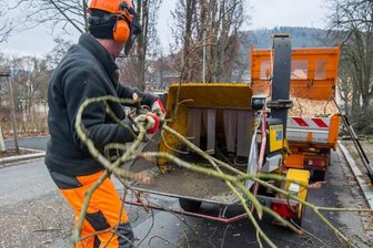"Baumfriseure" in Aue zugange -