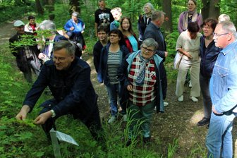 Baumpfad in Lunzenau neugestaltet: Hier sind Seltenheiten zu sehen - Am Baumpfad in Lunzenau wurden neue Schilder angebracht. Jetzt gab es einen Rundgang.