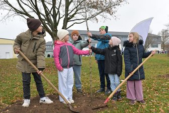 Baumpflanzungen im Erzgebirge: Zuwachs im Grünen Klassenzimmer - Schüler der Marchwitza-Grundschule in Schneeberg haben beim Baumpflanzen mit angepackt