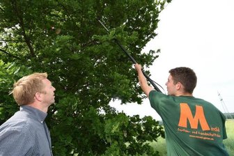 Baumpflege bis Ende Februar -