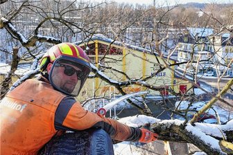 Baumpflege in luftiger Höhe: Schwarzenberger Bauhof entfernt morsches Astwerk - Bauhofmitarbeiter, hier Maximilian Kinder-Ott, prüfen von der Arbeitsbühne aus den Zustand des oberen Bereichs der großen Bäume, entfernen morsches Astwerk und angebrochene Äste. 