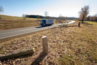 Baumrodungen und Heckenrückschnitte geben Rätsel auf: Wer hat an Straßen im Plauener Umland die Säge angesetzt? - An der B 173, kurz vor dem Abzweig nach Kürbitz, wurden beidseitig Bäume gefällt.