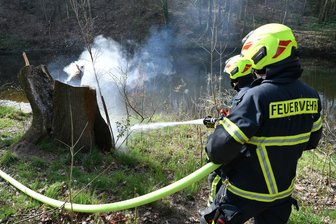 Baumstumpf in Flammen: Sirenenalarm in Rochlitz - Auf der Rochlitzer Muldeninsel rückte die Feuerwehr zu einem brennenden Baumstumpf aus.