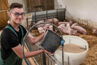 Baustart für Schweinemastanlage rückt näher - Bei der Agraset-Agrargenossenschaft Naundorf als Gründungsmitglied der Genießergenossenschaft Sachsen werden bereits Duroc-Schweine nach der Art gehalten, wie es im neuen Königshainer Stall geplant ist. Das Foto mit Auszubildendem André Berger entstand im Vorjahr.