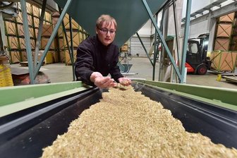 Baywa investiert kräftig - Mitarbeiter Sven Nestler bei der Kontrolle von Grassamen an der Aufbereitungsanlage der Baywa in Hainichen. Die 3,5 Millionen Euro teure Anlage ist seit gut einem Jahr in Betrieb.