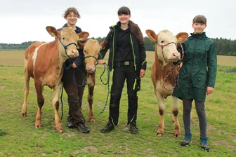 Beauty-Kur für Rinder: Welcher Jungzüchter aus dem Vogtland präsentiert die schönste Kuh? - Clara Heckel, Marie Langer und Lilly Knornschild starten am Sonntag beim Jungzüchterwettbewerb in Neudörfel.