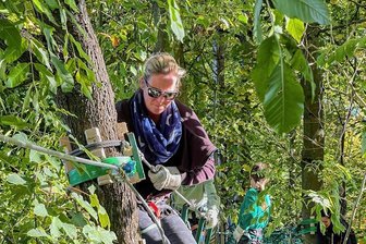 Beeindruckender Kletterwald-Neustart an der Talsperre Pöhl: Von lichten Fichten in den dichten Laubwald - Als gehe es durch den Dschungel: Im Kletterwald an der Talsperre Pöhl absolviert Besucherin Marleen Wöckel (39) aus Saalburg den entlang des Ufers führenden neu entstandenen Ahorn-Parcours.