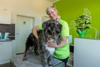 Beerheiderin eröffnet im Heimatort Kleintierpraxis - Der Australien Shepard Carla hält brav still, während Tierärztin Antje Schmieder ihn abhört.