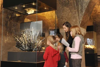 Begeisterte Reiseleiter für Mineraliensammlung in Freiberg gesucht - Die Mineraliensammlung sucht Reiseleiter, die Besucher durch die Ausstellung führen.