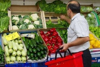 Behörden: Sprossen Ursache für EHEC-Epidemie - 