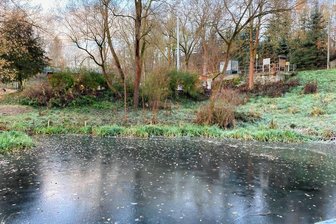 Behörden gehen rätselhafter Teichtrübung in Wolfspfütz nach - Blick auf den Teich am Wolfspfützer Dorfplatz. Im Hintergrund der Mast der neuen Sirene.