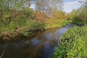 Behörden schieben Probleme im Lungwitzbach-Tal vor sich her - Der Lungwitzbach zwischen Hermsdorf und St. Egidien wird immer breiter insbesondere durch Abspülungen der Uferzonen.