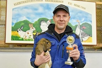 Bei der Kaninchen-Zucht ist der Verein stark - Vereinsmeister Kaninchen bei der Lokalschau wurde Matthias Schurgott auf Zwergwidder wildfarben.