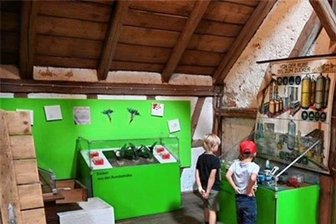 Bei Familienführungen am Sonntag im Deutschen Landwirtschaftsmuseum Schloss Blankenhain gibt es viel Neues zu entdecken - Bei den Familienführungen am Sonntag im Landwirtschaftsmuseum Schloss Blankenhain gibt es viel zu entdecken.