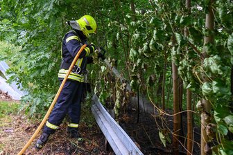 Bei Kriebstein brennen mehr als 50 Quadratmeter Waldboden - Die Feuerwehr löschte einen Brand bei Kriebstein.