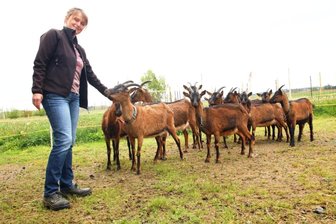 Bei Schmidts gibt's immer was zu meckern und zu gackern - Jana Schmidt mit den Mutterziegen. 