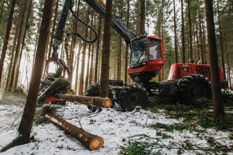 Beliebter Wanderweg an Talsperre Eibenstock wegen Holzernte gesperrt - Bis Ende März wird am Gerstenbergweg an der Talsperre Eibenstock Holz geerntet.