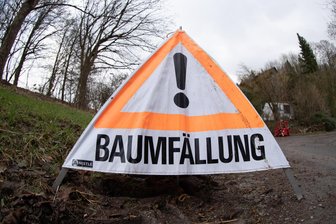 Beliebter Wanderweg im Erzgebirge gesperrt: Forst lässt Bäume fällen - Wegen Holzfällarbeiten muss ein Wanderweg zwischen Bockau und Lauter-Bernsbach gesperrt bleiben.