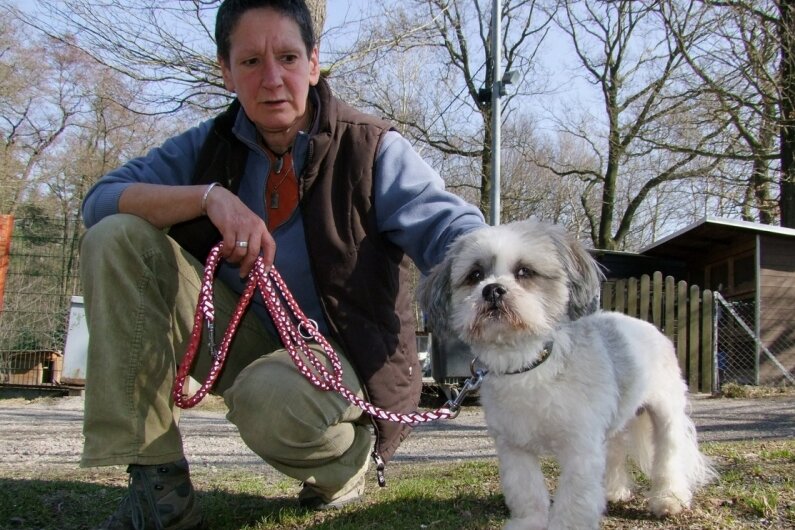 In Tierheimmitarbeiterin Sabine Graupner hat der quirlige Benny ein verständnisvolles Frauchen auf Zeit gefunden. Der Hund sollte aber schnellstend wieder ein neues Zuhause finden. 