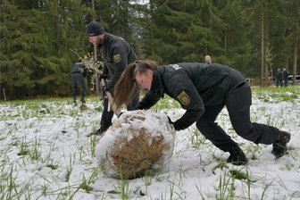 Bereitschaftspolizei Chemnitz pflanzt Obstbäume im Forstrevier Schönheide - Kim Lohse (vorn) und Alexander Tetzner von der Bereitschaftspolizei haben ihren Baum an die Pflanzstelle gerollt.
