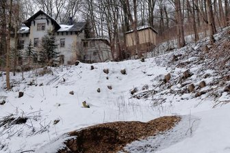 Bergbau-Schäden im Waldschlößchenpark: Warum Bäume weichen müssen - An einem Hang des Buchholzer Waldschlößchenparks sind zahlreiche Bäume gefällt worden. Vorbereitung für eine Sanierung von Bergbau-Anlagen aus der Wismut-Zeit, die gefährlich werden könnten. 