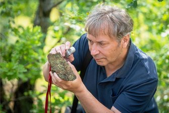 Bergbauhalden um Freiberg voller Schwermetalle: Warum Naturschützer trotzdem gegen die Sanierung sind - Die Rostrote Kleinsporflechte ist so winzig, dass Marko Olias vom Naturschutzinstitut Freiberg sie mit der Lupe suchen muss. Auf dem Freiberger Gneis in der Halde "Junge Hohe Birke" leben rund 50 weitere Flechten-Arten. 