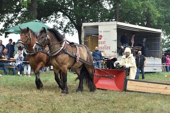 Bergfest, Körbe, Nat-Nat - die Tipps für das Wochenende im oberen Vogtland - Pferde stehen beim Bergfest in Markneukirchen im Mittelpunkt. Im Foto: Thomas Kuhn aus Pirk beim Holzrückewettbewerb 2022 auf einem Schneepflug, den Tino Leonhardt aus Erlbach entwickelt und gebaut hat.