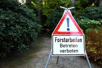 Bernsbach: Flügelweg und Lößnitzer Straße im Wald gesperrt - Wegen Waldumbau und Holzeinschlag gibt es Sperrungen im Bernsbacher Raum.