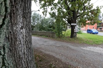 Bernsdorf: Gedenktafel für Neonazi-Opfer Patrick Thürmer mit Farbe beschmiert - Patrick Thürmer wurde im Oktober 1999 bei der Brücke zur Uhligmühle gefunden.