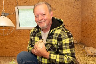 Beruflicher Neustart mit Mitte 50: Erzgebirger betreibt Wachtelfarm mit 170 Tieren - Tom Schubert hat einen Neustart gewagt und sich mit seiner „Wachtelfarm Erzgebirgsblick“ selbstständig gemacht. Er hält dort 170 Tiere in einem Innen- und Außengehege. Sie können Tag und Nacht rein und raus.