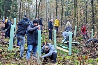 Besondere Weihnachtsgeschenke wachsen im Wald - Zwischen Erdmannsdorf und Grünberg pflanzen Mitarbeiter von drei Chemnitzer Firmen Eichen und Hainbuchen.