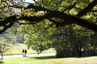 Besonderes Angebot fürs Wochenende: Musikalischer Spaziergang im Plauener Stadtpark - Wer am Samstagnachmittag im Plauener Stadtpark eine Runde dreht, kann kleinen Konzerten lauschen.