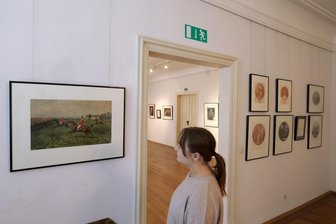 Besuch des Glauchauer Museums wird teurer - Der Besuch im Museum und in den Kunstsammlungen Glauchau wird teurer.