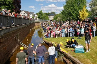 Besuchermassen in Oberlungwitz: Die Stadt feiert und kann von Preisgeld träumen - Die zwei Durchgänge des Oberlungwitzer Entenrennens gehörten zu den Höhepunkten beim Fest.