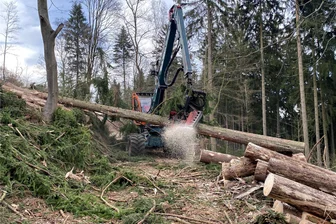 Bevor die neuen Borkenkäfer ausfliegen: Baumfällungen an der Waldbühne Schwarzenberg - Am Weg von der Waldbühne in Richtung Rosental ist David Hillig mit dem Harvester im Einsatz. Scheinbar spielerisch leicht werden die gefällten Bäume entastet und die Stämme auf die gewünschte Länge gebracht.