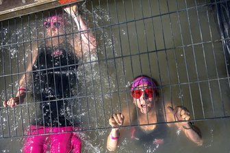 Bilder des Tages vom 06.06.2026 - Unter Gittern - Teilnehmerinnen beim Muddy Angel Run