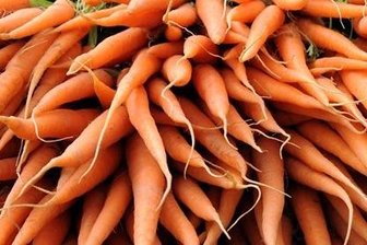 Bio-Möhren aus dem Ausland: In Deutschland fehlen die Erzeuger -