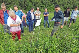 Biogasanlagen von Clausnitzer Agrargenossenschaft sollen künftig mit Blumen von Blühwiesen laufen - Mitarbeiter Andreas Neubert (3. v. r.) erläutert den Teilnehmern des Feldtages das Prinzip der Blühflächennutzung der Agrargenossenschaft "Bergland". 