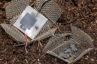 Biologisch abbaubare Batterien: Der Akku für den Kompost - Vorher und nachher: Nach zwei Monaten in der Erde bleiben von den biologisch abbaubaren Superkondensatoren aus dem 3D-Drucker nur ein paar Kohlenstoffpartikel übrig.