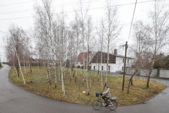 Birkenhain: Spielkarussell und Bänke statt schiefer Bäume - Noch stehen die alten Birken schief und krumm auf dem Platz inmitten der Häuser des Wohngebietes Am Birkenhain in Limbach-Oberfrohna. Doch bald werden sie gefällt. Denn das Areal wird bis zum Frühjahr komplett umgebaut.