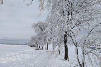 Bitterkalte Nächte im Erzgebirge: Hier wurde der Tiefstwert gemessen - Zwischen Lauta und Lauterbach.