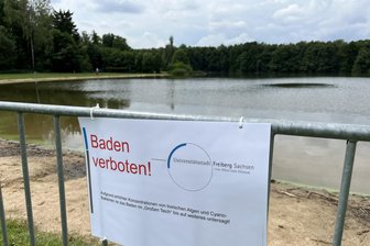 Blaualgen-Alarm in Freiberg: Baden im Großen Teich ab sofort verboten - Für das Waldbad „Großer Teich“ am Südrand von Freiberg gilt ab sofort ein Badeverbot.