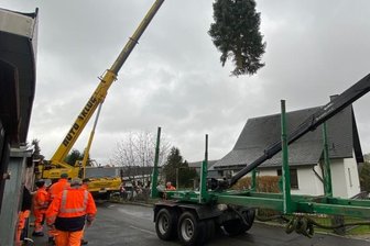 Blaufichte schmückt Marktplatz - 
