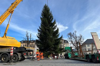 Blitzaktion im Erzgebirge: Weihnachtsbaum steht in Windeseile auf dem Marktplatz - Der Weihnachtsbaum ziert seit Mittwoch den Marienberger Markt.