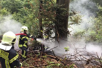Blitzeinschlag: Feuerwehr löscht Brand in Wald bei Hartenstein - Einsatzkräfte löschten den Brand nahe der Prinzenhöhle.