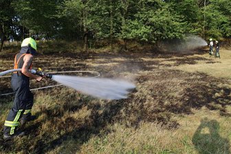Blitzeinschlag löst Waldbrand im Erzgebirge aus: Motorradfahrer hilft Feuerwehr bei Einsatz - Ein Waldbrand hat die Feuerwehr in Schwarzenberg am Montag gefordert. Die Flammen löschten die Einsatzkräfte mit Wasser und Schaum.