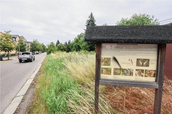 Blühende Landschaften? In Burgstädt soll eine Schmetterlingswiese versiegelt werden - Auf einer Tafel an der Lindenstraße unterhalb des Viadukts in Burgstädt ist über die sogenannte Puppenstuben-Aktion des Nabu zu lesen. Es wurden Schmetterlingswiesen angelegt, um Faltern einen attraktiven Lebensraum zu geben. Jetzt gibt es Pläne für eine Bebauung.