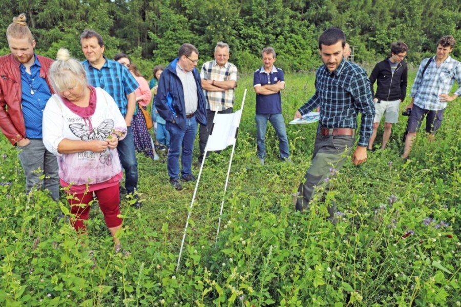 Blühwiese nützt nicht nur den Insekten - Mitarbeiter Andreas Neubert (3. v. r.) erläutert den Teilnehmern des Feldtages das Prinzip der Blühflächennutzung der Agrargenossenschaft "Bergland". 