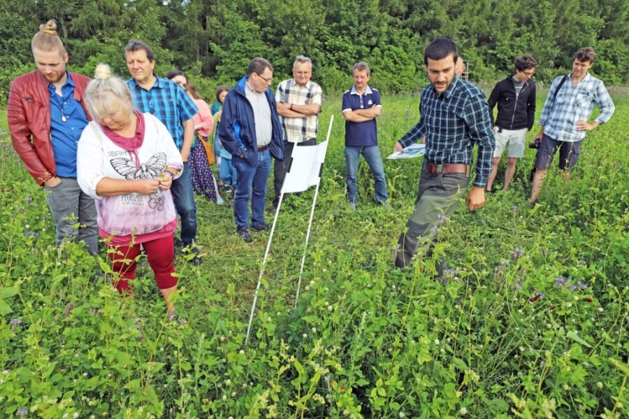 Blühwiese nützt nicht nur Insekten - Mitarbeiter Andreas Neubert (3. v. r.) erläutert den Teilnehmern des Feldtages das Prinzip der Blühflächennutzung der Agrargenossenschaft "Bergland". 